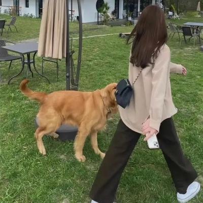 聪明的驴子