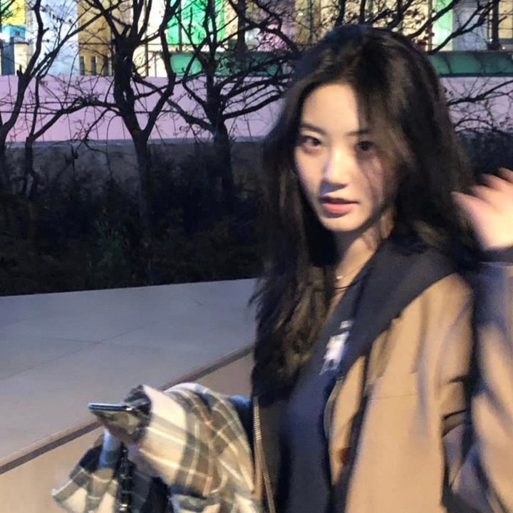 我的第一先生